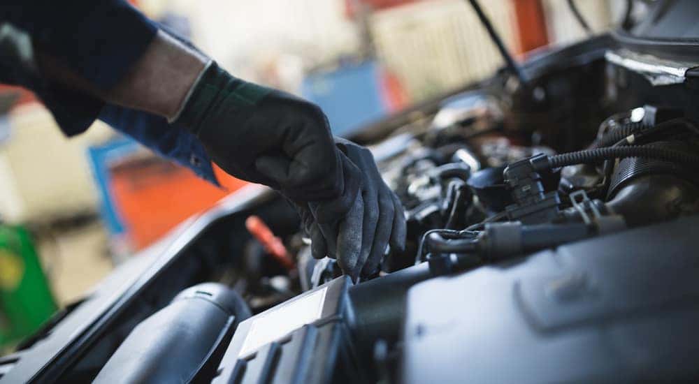 Gloved mechanic checking dip stick in car