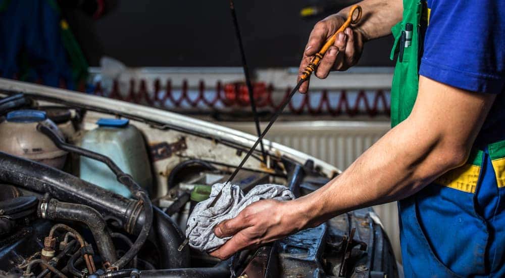 Male mechanic checking the dip stick in a car