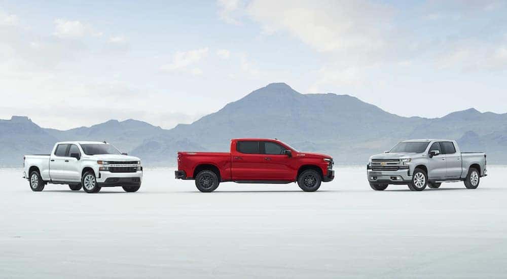 Three 2019 Chevy Silverado 1500s are shown in white, red, and silver with a mountain silhouette behind them.