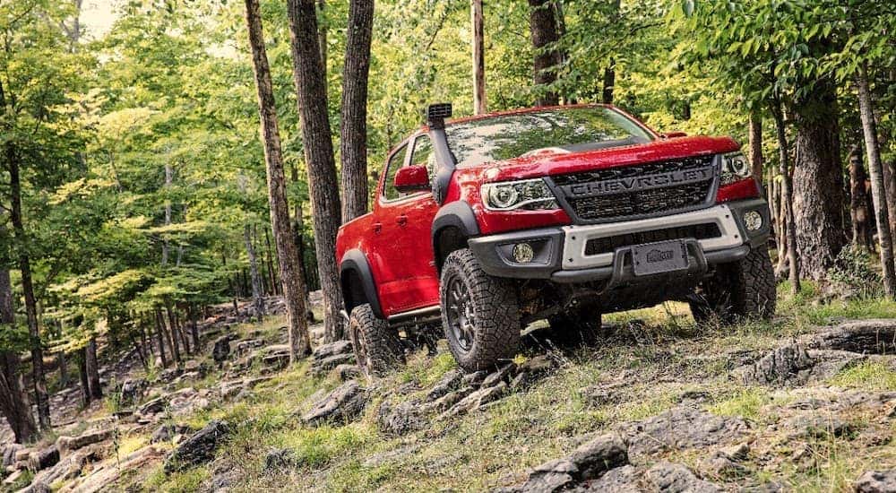 A red 2019 Chevy Colorado ZR2 Bison is climbing over rocks in the woods outside Cincinnati, OH.