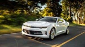 A white 2017 Chevy Camaro is shown driving on a tree-lined road.