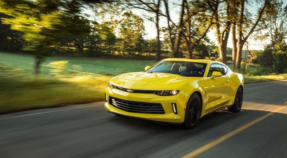 A yellow 2018 Chevy Camaro is driving on a treelined road near Dayton, OH during the day.