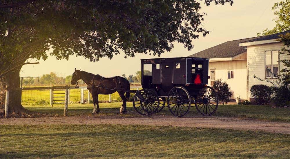 A horse and buggy are in front of a house in Amish Country.