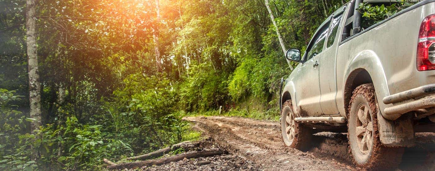 A gray truck is driving on a woodland trail with its new all-terrain tires from Cincinnati tire dealers.