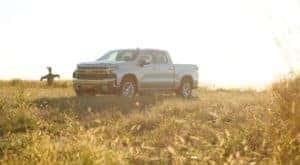 A silver 2021 Chevy Silverado 1500 Z71, one of the most popular Chevy vehicles in stock, is shown parked in a field next to a scarecrow.