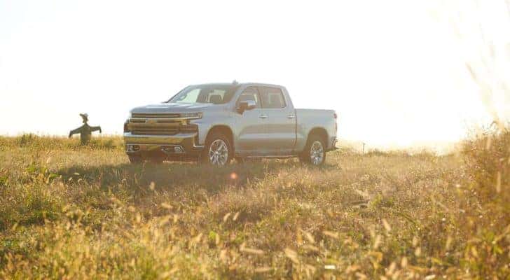 A silver 2021 Chevy Silverado 1500 Z71, one of the most popular Chevy vehicles in stock, is shown parked in a field next to a scarecrow.