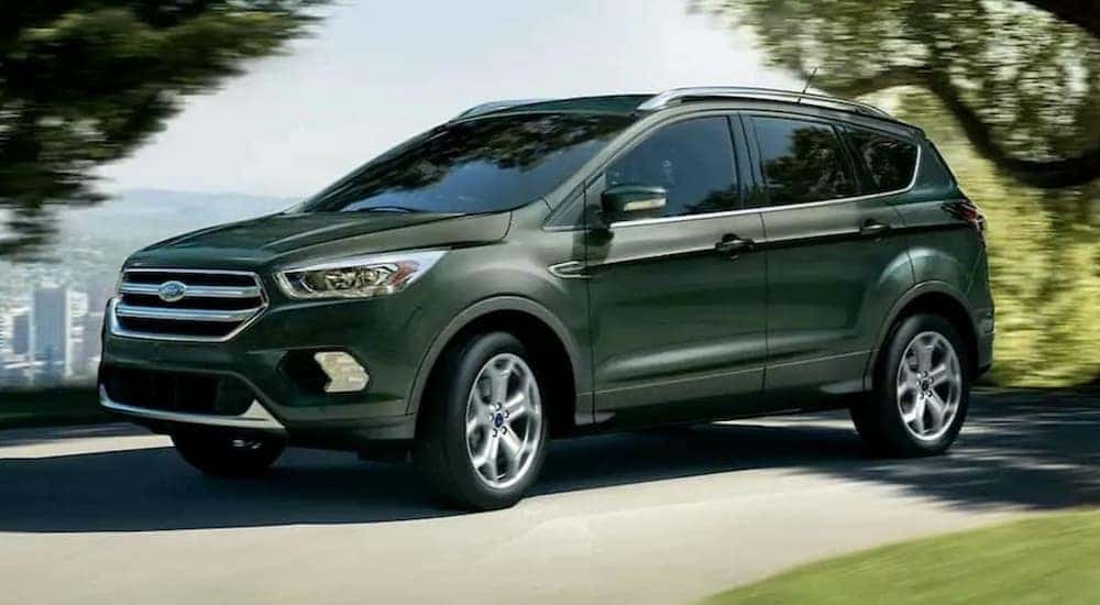 A green 2019 Ford Escape is shown driving on a road.