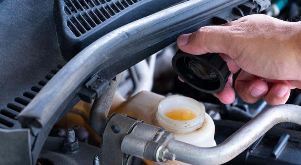 A mechanic is shown checking a vehicles fluid levels.