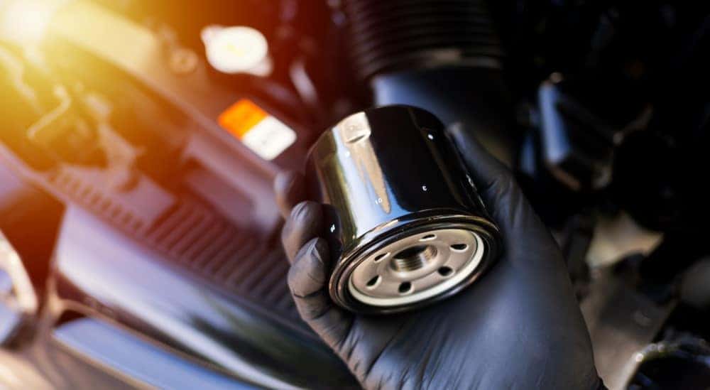 A technician is shown holding a black oil filter.