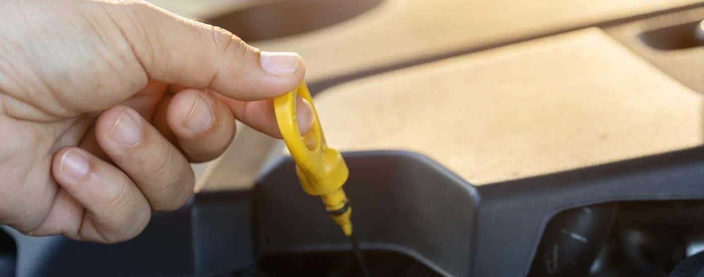 A hand holding a dipstick.
