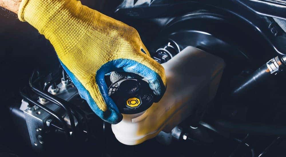 A technician checking the brake fluid.