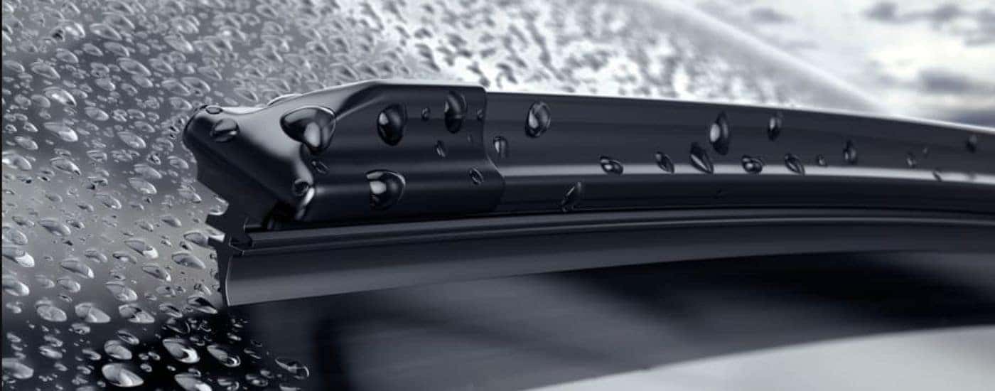 Close-up of a black windshield wiper blade.