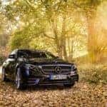 Autumn Driving