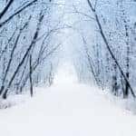 Winter Weather
