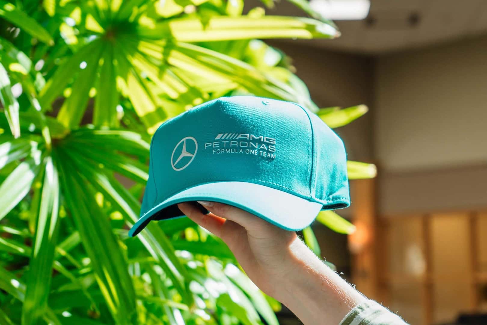 5 Must-Haves To Gear Up for the 2024 US Grand Prix | Mercedes-Benz of Sugar  Land