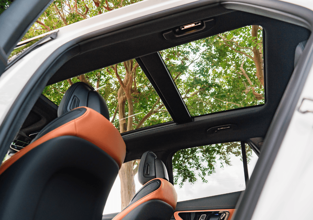DISLIDES-GLC 350e–2-