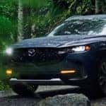 cx-50