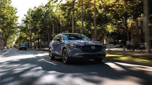 CPO CX-30