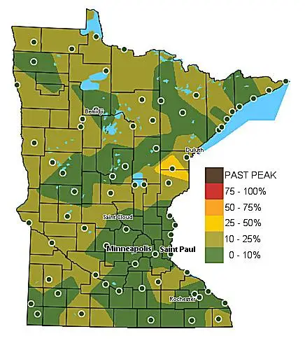 Where to See Fall Colors – Weekend of September 18th-20th