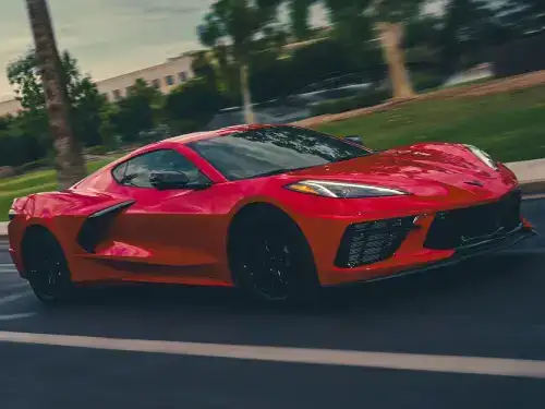 Stingray