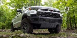 2024 chevy silverado 1500 in a forest