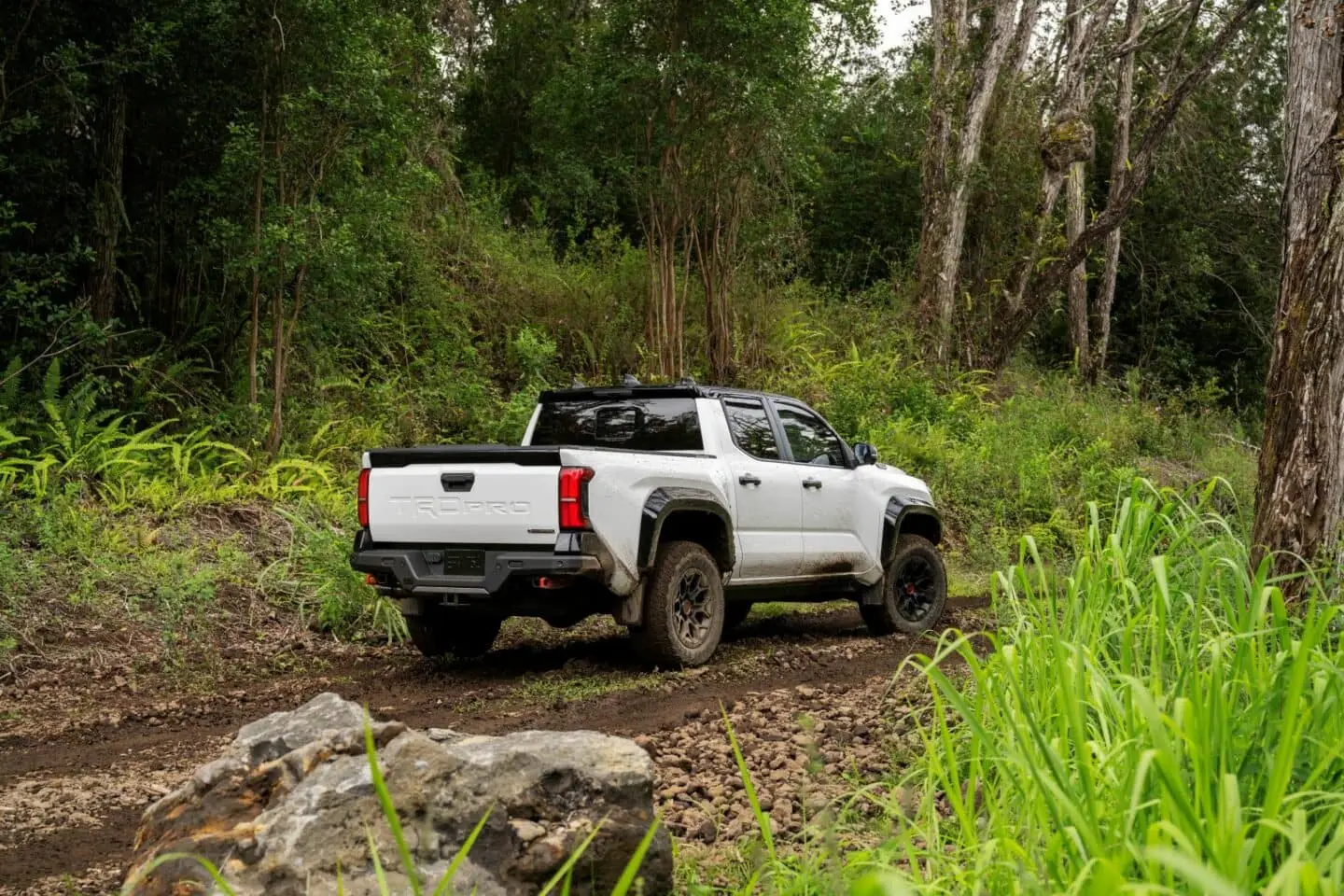 All About The 2024 Toyota Tacoma | Sherwood Park Toyota