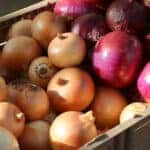 Farmers market in Spruce Pine, North Carolina