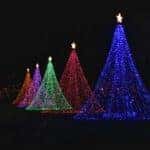 Christmas trees lit up at night in Spruce Pine, NC