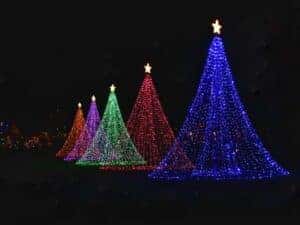 Christmas trees lit up at night in Spruce Pine, NC
