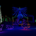 Christmas lights near Columbia, TN