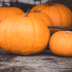 best places for Halloween events in Columbia,