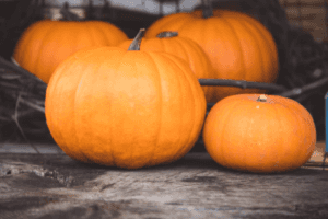 Pumpkins by Olivia Spink is licensed with Unsplash License