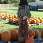 Thanksgiving events the whole family can enjoy in Columbia, TN