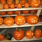 Halloween Pumpkins carved on a shelf in Columbia, TN