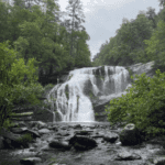 Free sighting in Tennessee