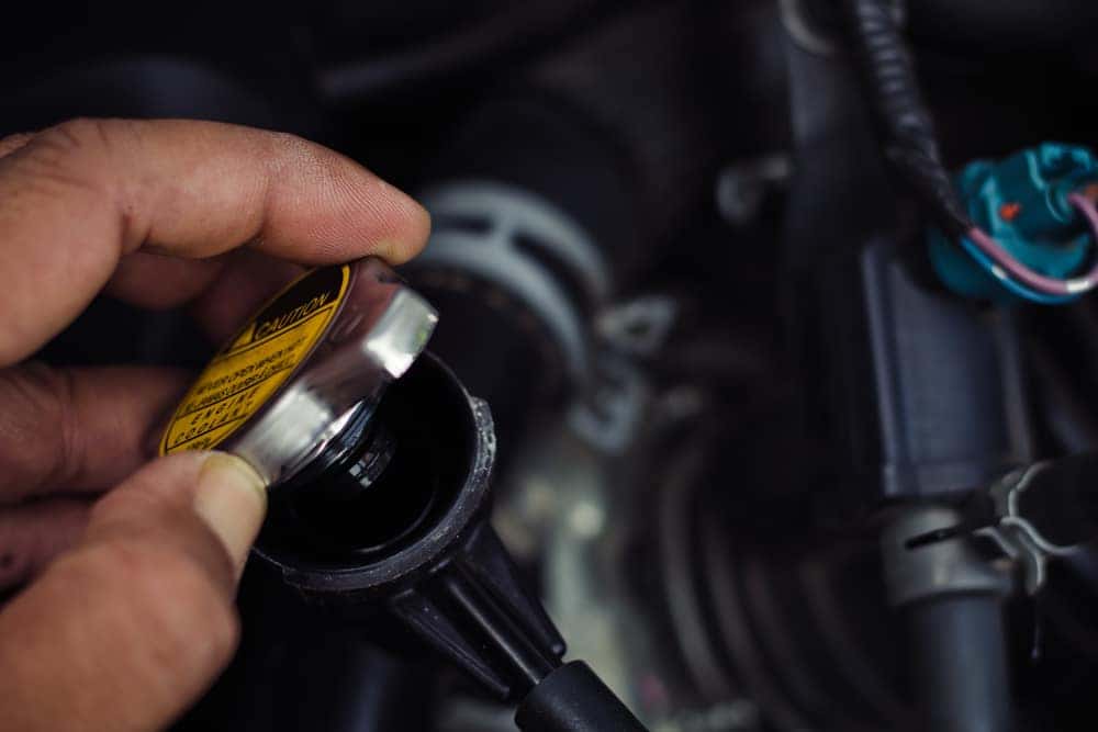 Man Checking Transmission Fluid on a Vehicle