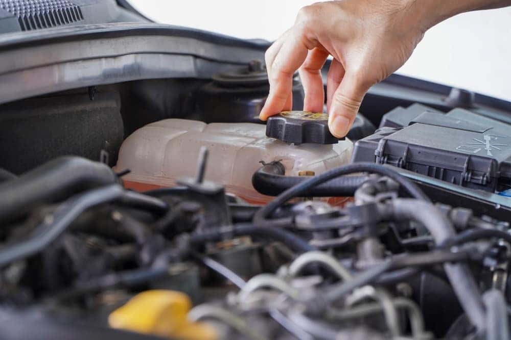 Person Checking Engine Coolant