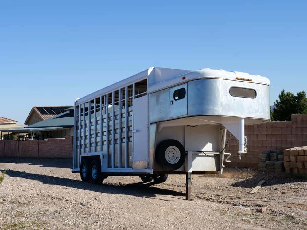 Large Horse Trailer